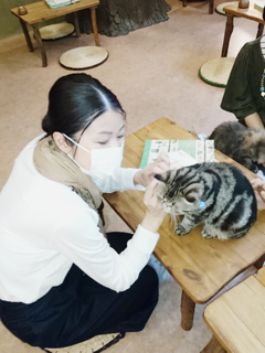 てまり5