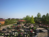 長島水辺のやすらぎパーク３