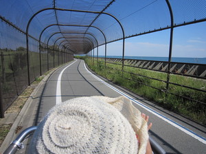 サイクリング１