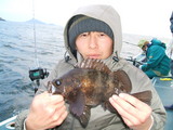 黒メバル釣り1