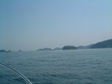 三重県鳥羽でアジ釣り