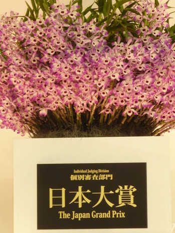 P1000839