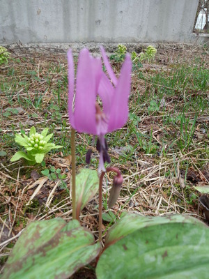 IMG_20120501_105444