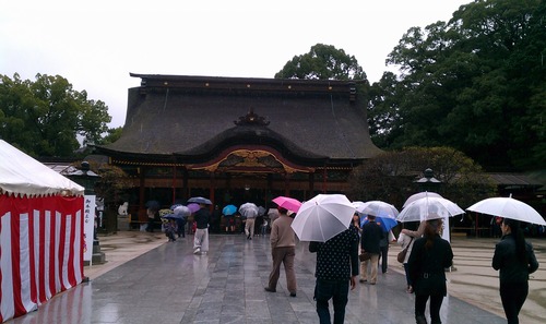 IMAG0735