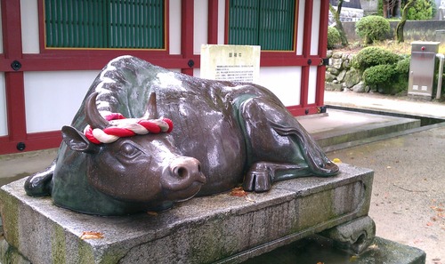 IMAG0734