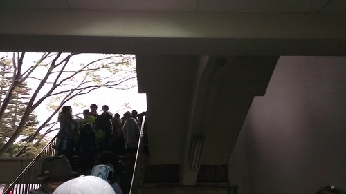 IMAG3153