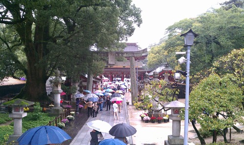 IMAG0732