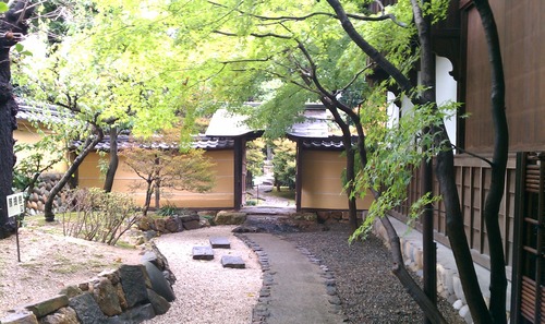 IMAG0655