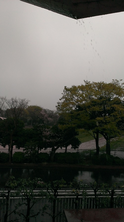 IMAG3154