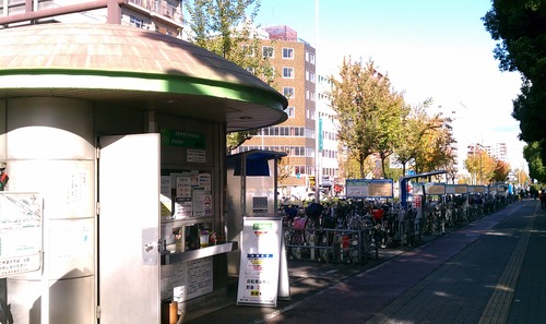 IMAG0855