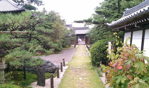 IMAG0656
