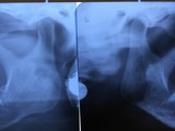 2776f898.jpg