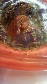 38f00916.jpg