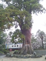 468059e5.jpg