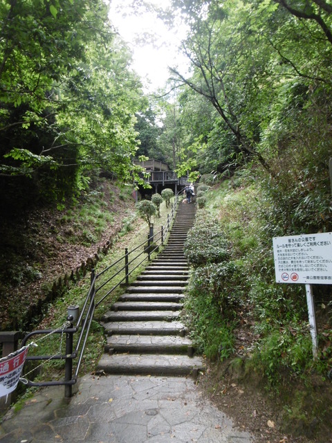 P1040247