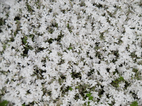 P1040069