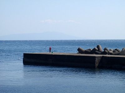 s-P3110181