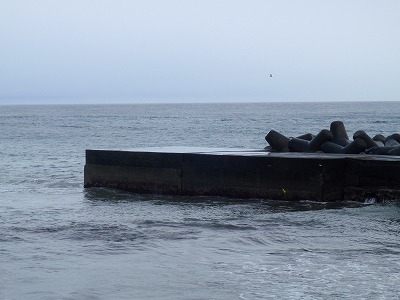 P4020062