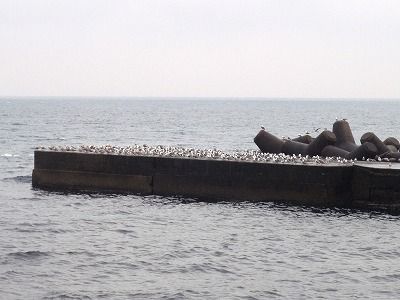 P2060252
