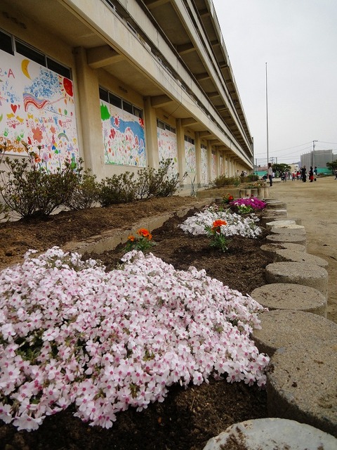 s-DSC02473