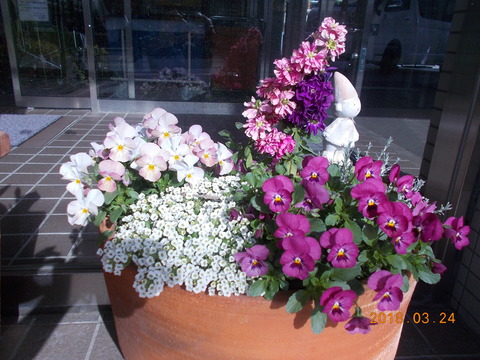 DSCN2939