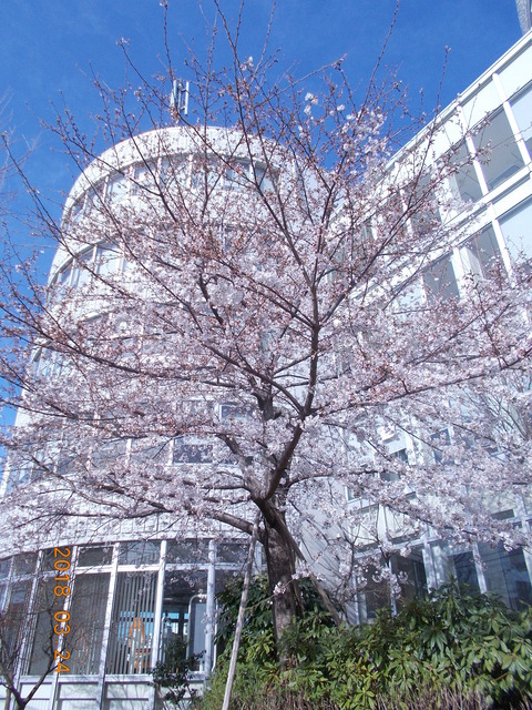 DSCN2929
