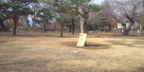 476ec575.jpg