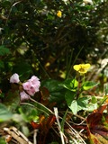 IMG_0015_1