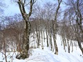 IMG_0093