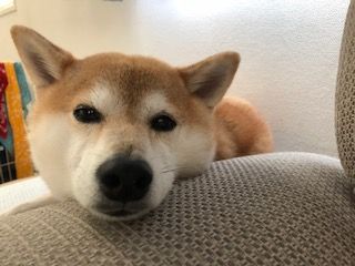 IMG_0346
