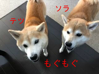 BlogPaint