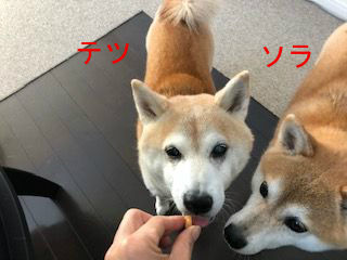 BlogPaint