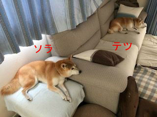 BlogPaint