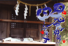 ǭ���渫��