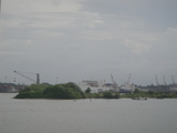 DSC02421