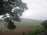 DSC02407