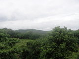 DSC02409