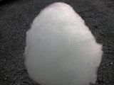 SANY0100