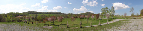 DSC03655