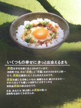 食堂かめっち