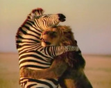 hug