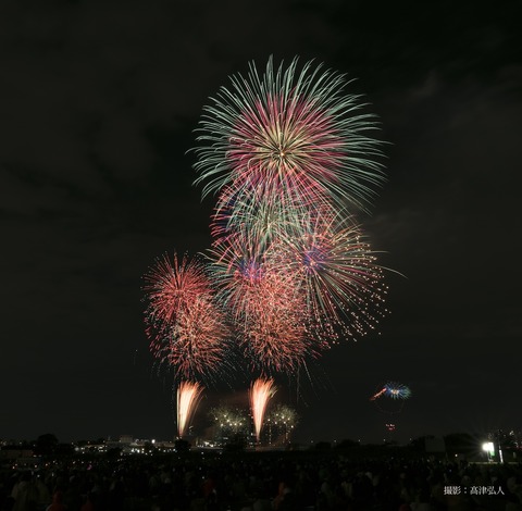 tamagawa3