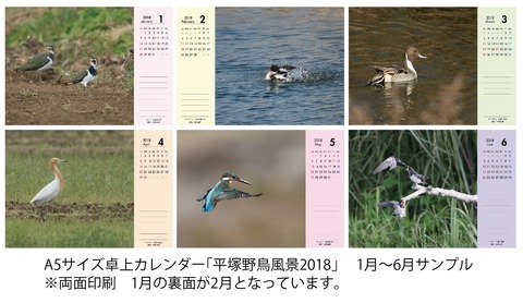 平塚野鳥風景A