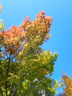 140929_095247