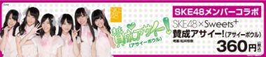 ske480