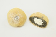 mochipo