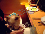パクモリーー!