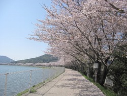 ºù»¶¤ë