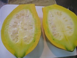 ÀÚÃÇŽºŽØŽÝ޷ް