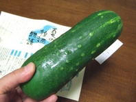 ÂÀ¥¥å¥¦¥ê1